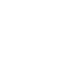 Olmo Group